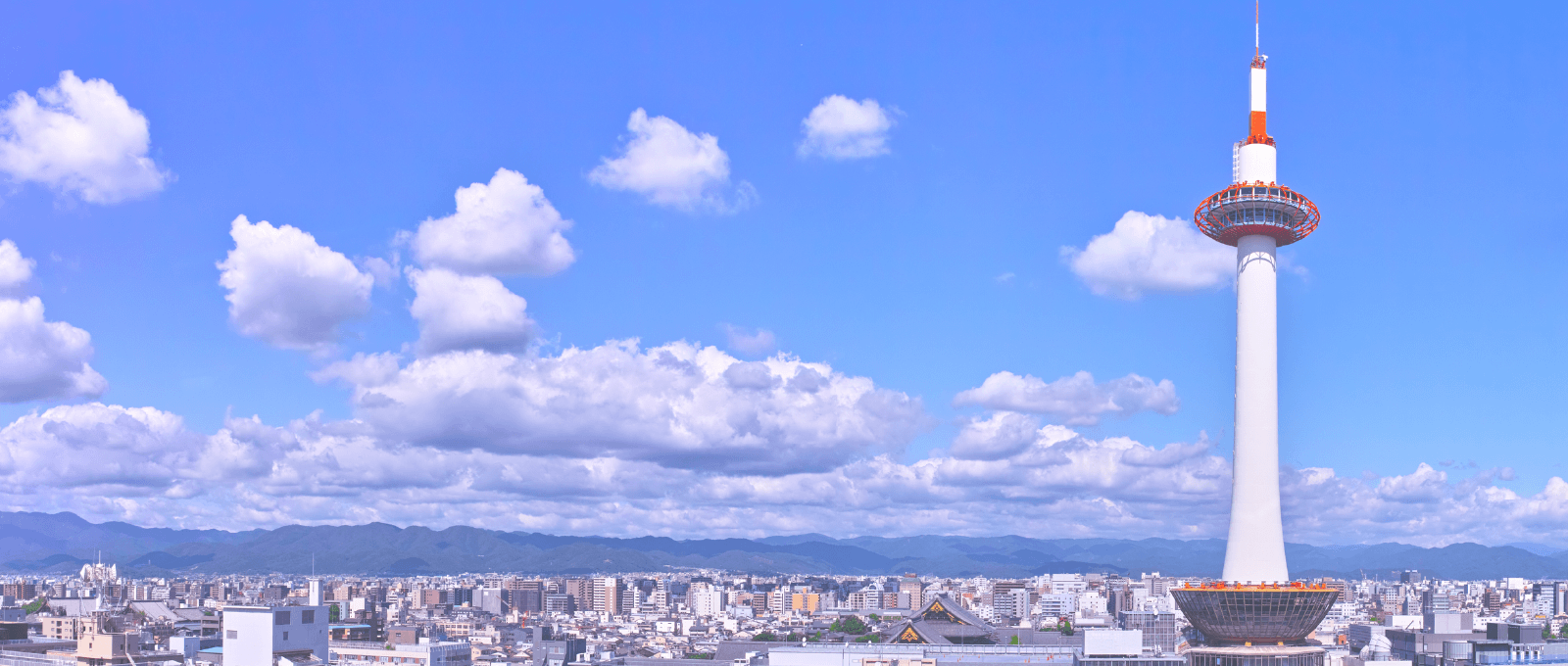 そうだい司法書士行政書士事務所